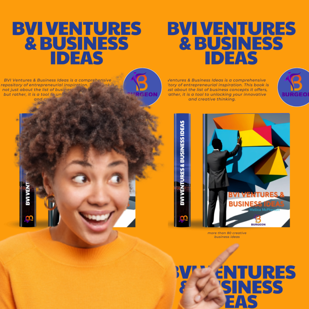 BVI Book of Business Ideas & Ventures